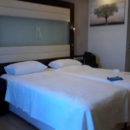 阿里昂酒店 酒店