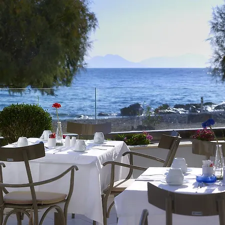 酒店 阿里昂酒店 西洛卡特伦