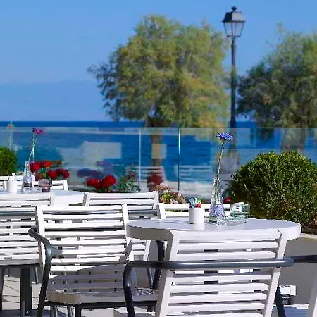 Hotel Arion